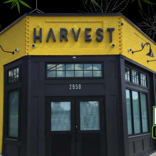 Harvest of OH vs Trulieve: Unveiling the Counter-Lawsuit