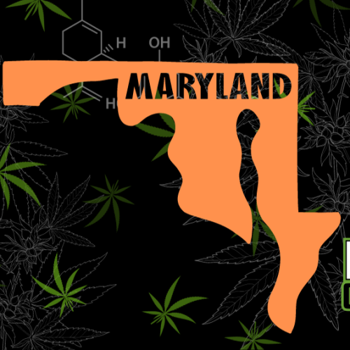 Maryland Opens Doors for Recreational Cannabis Businesses