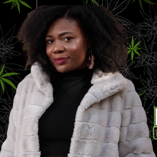 NYC Cannabis Director Resigns Amid Harassment Claims