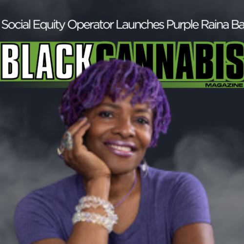 Bay Area Social Equity Operator Launches Purple Raina Balm Wand