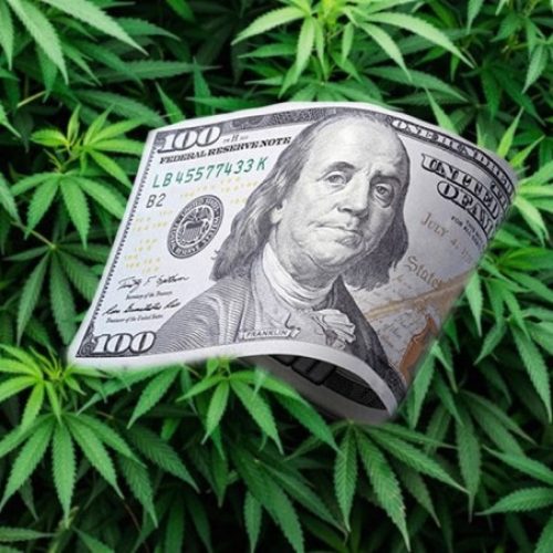 PHILADELPHIA HAS DECRIMINALIZED MARIJUANA, BUT THOSE WHO GET HIGH ON PROBATION STILL RISK INCARCERATION